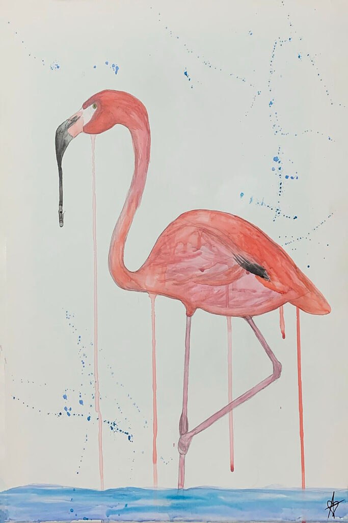 Flamingo