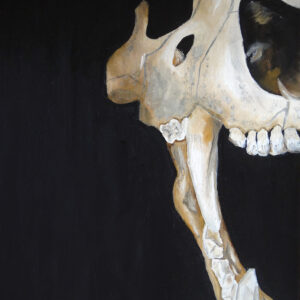 Craneo de Leon *SOLD*